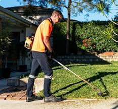 We are here to assist with all your gardening and lawn maintenance, yard clean ups and rubbish removal, gutter cleaning right through to larger landscaping projects. Lawn Mowing Adelaide Book In 60 Seconds Lawn Com Au