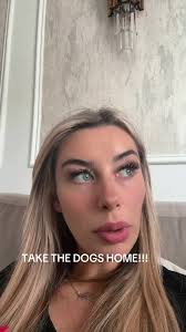 Amazing Dog Walking Hacks for Owners