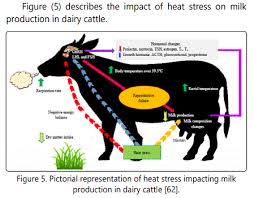 Temperature Humidity Indices As Indicators To Heat Stress Of