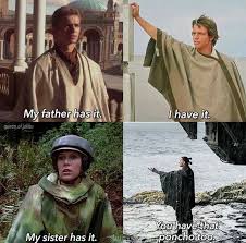 They All Wore A Poncho Genius Star Wars Memes Star Wars Humor Star Wars Jokes