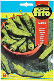 A) los jueces y sus auxiliares que por imperio de esta ley deban asistir a sus oficinas y mantenerlas abiertas mientras dure el acto comicial; Buy Fito Pepper Padron 5174 Online Shop Home Garden On Carrefour Uae