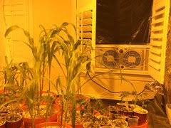 Here are some from nearby areas. Can I See Your Winter Setup