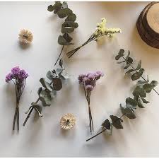 Mini dried flowers near me. Mini Size Dried Flowers Don T Forget Me Eucalyptus Shopee Malaysia