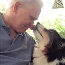 Well…after 43 years in the veterinary profession, I retired from daily…