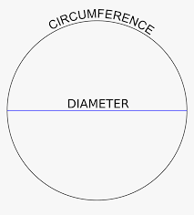 The bigger the circle the more like a . Filecircle Diameter Circumference Diameter Of A Circle Hd Png Download Transparent Png Image Pngitem