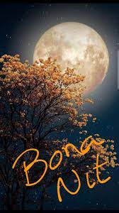 Bon Dia Bona Nit Imagenes De Buenas Noches Buenas Noches En Catalan Mensages De Buenas Noches