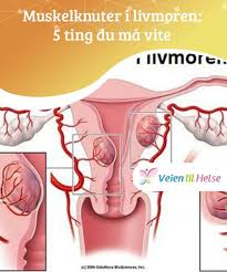 pin pa nysgjerrig pa