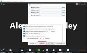 Zoom breakout settings