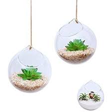 Gl Home Hanging Glass Terrarium Container Planter For Air Plants Amazon Ca Patio Lawn Gard Terrarium Containers Glass Terrarium Containers Glass Terrarium