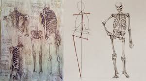 You can edit any of drawings via our online image editor before downloading. Human Body Anatomy Drawing At Paintingvalley Com Explore Collection Of Human Body Anatomy Drawing