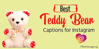Let us hug our teddies on teddy bear day.. Best Teddy Bear Captions For Instagram Quotes Status Best Message
