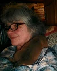 Itty Bitty last night while I was finishing up some phone work. He went  around the back of my neck and snuggled down for quite awhile! 😁🥰