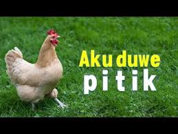 Pitike nyucuki pari aksara jawa. Aku Duwe Pitik Lagu Tradisional Jawa Youtube