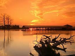 Upon arrival the space was too narrow and not long enough, so i had to upgrade to one of the improved spaces. Poverty Point Reservoir State Park A Louisiana State Park