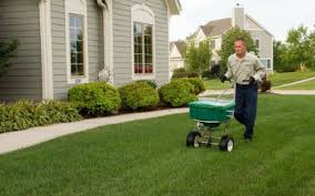 Maybe you would like to learn more about one of these? Lawn Care Weed Control Milwaukee Wi Spring Green