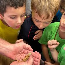 🐾🔬 Kindergarten Visit to Dr. Fly's Science Lab! 🐟🦎 Last Friday, our KG  students had a blast exploring Dr. Fly's Science Lab! They met guinea pigs,  dragon lizards, crabs, and fish while