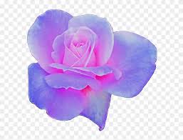 Explore origin 0 base skins used to create this skin; Rose Clipart Aesthetic Flower Aesthetic Transparent Free Transparent Png Clipart Images Download