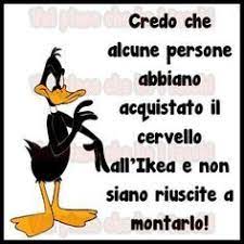 Bf72604e7185e07639497a3ced71f2b0 Jpg 236 236 Citazioni Scherzose Divertente Immagini Divertenti