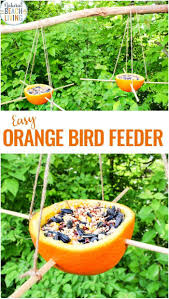 Orange Bird Feeder Easy Homemade Bird Feeders Natural Beach Living Bird Feeders Homemade Bird Feeders Bird Feeders For Kids To Make