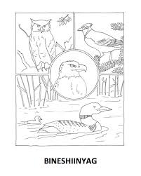 Collection by bethany poston • last updated 9 days ago. We All Thank Them All Ojibwe Net