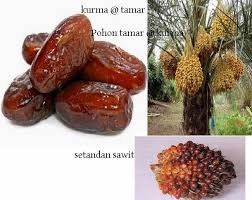 Bahasa melayu (kuno) disebarluaskan oleh kerajaan sriwijaya, jauh sebelum indonesia & malaysia berdiri. Tamar Bahasa Arab Atau Kurma Bahasa Melayu Katkoota