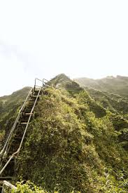 This hike is illegal and can come with a $700+ ticket if you are caught. Stairway To Heaven Oahu Hike Hawaii Thenorthernboy