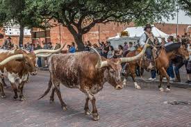 We did not find results for: Fort Worth Stockyards Texas Highways