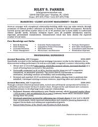 account executive resume sample ipasphoto