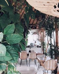 Dream Sea Surf Camp Canggu Bali Indoor Garden