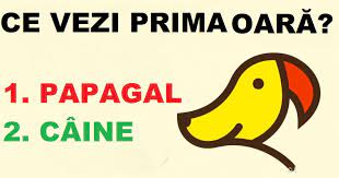 We did not find results for: Test De Personalitate Primul Lucru Pe Care Il Vezi In Aceste Imagini DezvÄƒlui Totul Despre Tine Ela CrÄƒciun Supermom Blog De ViaÅ£Äƒ FrumoasÄƒ