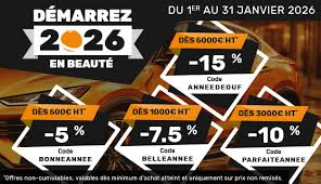 Image result for Brunbadiane 1995 Renault