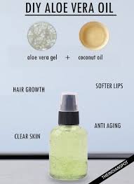 How to make aloe vera gel for hair. How To Make Aloe Vera Oil With Benefits And Uses Aloe Vera Essential Oil Aloe Vera Shampoo Aloe Vera Oil