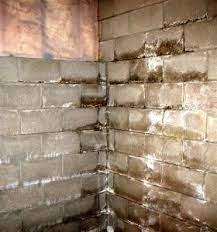 Leaking basement walls don't just stop because you've noticed them, and many people's you'll learn about wet basement problem signs and what they could mean for your home's health and safety. Damp Basement Walls What Is Your Best Waterproofing Option