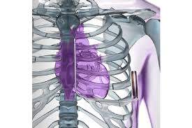 Auch wenn moderne schrittmacher und implantierte defibrillatoren (icd) im alltag normalerweise nicht von elektromagnetischen feldern beeinträchtigt werden, sollten betroffene patienten bei manchen elektrischen geräten vorsichtig sein. Herzschrittmacher Implantierbare Defibrillatoren Kardiologie Uniklinik Koln