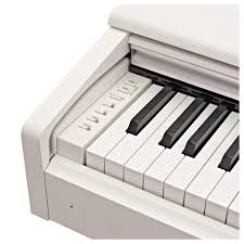 Piano, piano numérique, clavier, synthétiseur, ukulele, violon, guitare, harmonica, basse, clarinette, guitare électrique, saxophone, trompette, xylophone, mandoline, flûte. Location De Pianos Numeriques Musicali