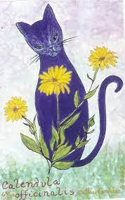 Your zodiac sign, also known as your sun sign, is based on a range of dates that lasts about a month. Wyrd Wednesday Oraclescopes For Every Zodiac Sign Kathy Crabbe