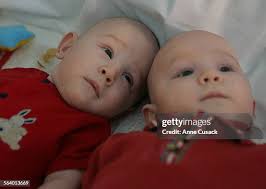 29 Nathani Stock Photos, High-Res Pictures, and Images