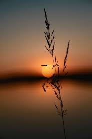 Best Known Land Mark Of Australia Nature Pictures Landscape Photography Nature Photography