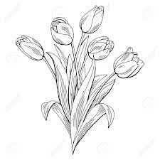 Tulip Flower Graphic Black And White Isolated Bouquet Sketch Flower Sketches Flower Sketch Images Tulip Drawing