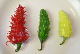 Geschnitzte Chili Bluten Kaltes Buffet Buffet Chilibluten Geschnitzte Kaltes Gemuseschnitzen Essen Schnitzen Lebensmittelhandwerk