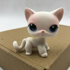 Use the form to the right to find a kitten near you. Lps 64 Littlest Pet Shop White Cat Kitten Collection Toy Tv Figure 9 99 Picclick