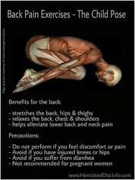 Pin On Bones Muscles