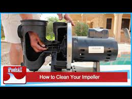 Rust is probably not the problem. Swimming Pool Service Tip Unclogging Your Impeller Youtube
