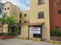 Cactus tx real estate & homes for sale. Crazy Cactus