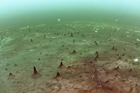 thunder bay national marine sanctuary