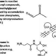 Triose Phosphate Isomerase Deficiency Tpi A Rare Disorder That Download Scientific Diagram