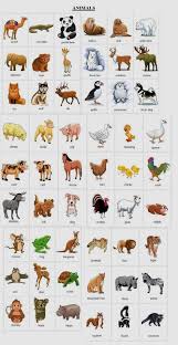 Pin By Nadiya Zhavruk On Health In 2020 Learning English For Kids Learn English Vocabulary English Vocabulary