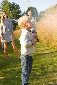 Toddler boys room design ideas. Fall Family Photo Outfit Ideas Pinteresting Plans