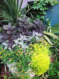 Now is the perfect time to get in the garden and start planting. Perennials To Plant In Fall For Spring Color Hgtv