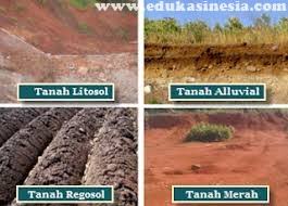 Kenali terlebih dulu agar sesuai yang diinginkan! Tanah Pengertian Tanah Jenis Jenis Tanah Profil Tanah Tekstur Tanah Permeabilitas Tanah Kesuburan Tanah Beserta Penjelasan Terlengkap Mengenai Tanah Edukasi Indonesia Edukasinesia Com